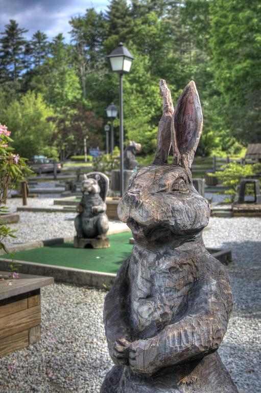 Foxhunt At Sapphire Valley Luaran gambar